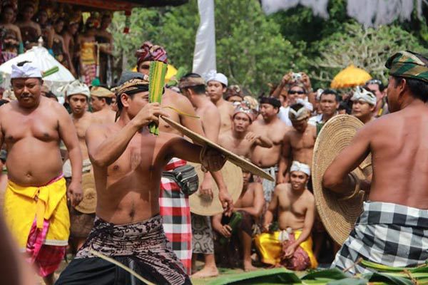 Độc đáo lễ hội Usaba Sambah ở Bali