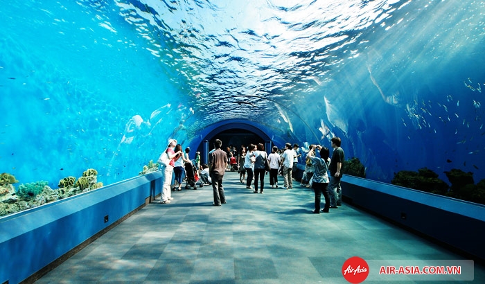 Thủy cung Siam Ocean World - Bangkok