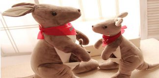 Chọn chuột túi làm quà tặng cho bạn bè khi đi du lịch tại Úc